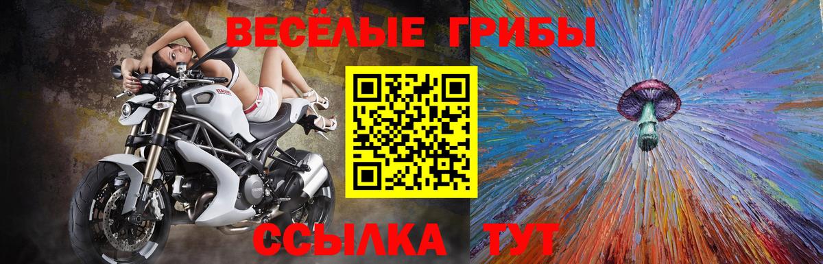 Кизилюрт  Галлюциногенные грибы MAGIC MUSHROOMS  Галлюциногенные грибы Psilocybine cubensis  Вход с VPN 